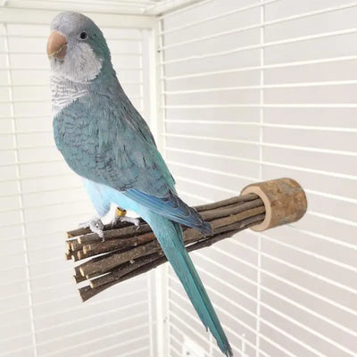 Wooden Parrot Stand Pole Perch