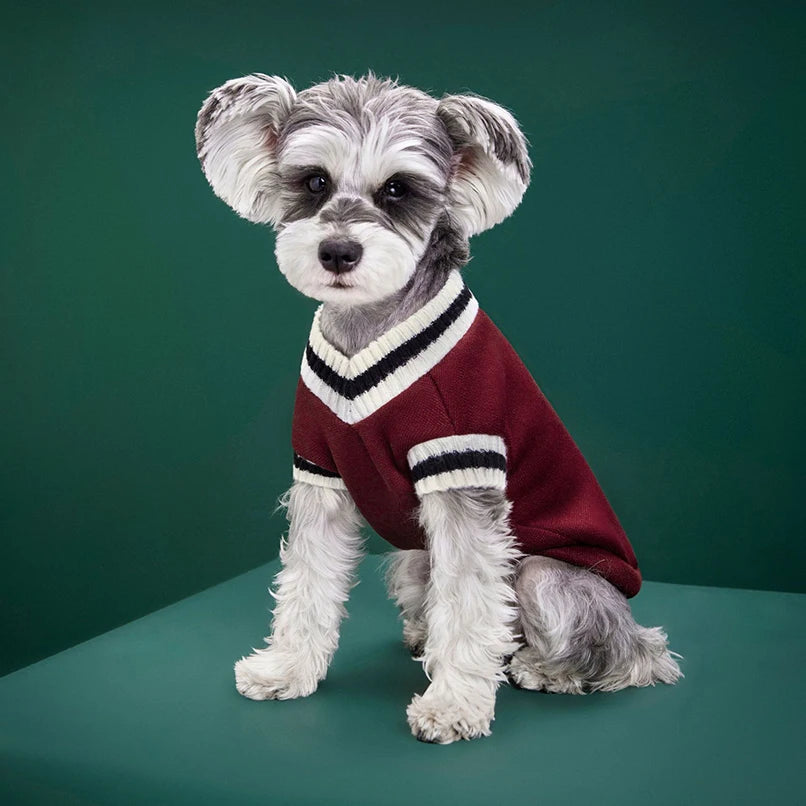 SoftBark Dog Jacket