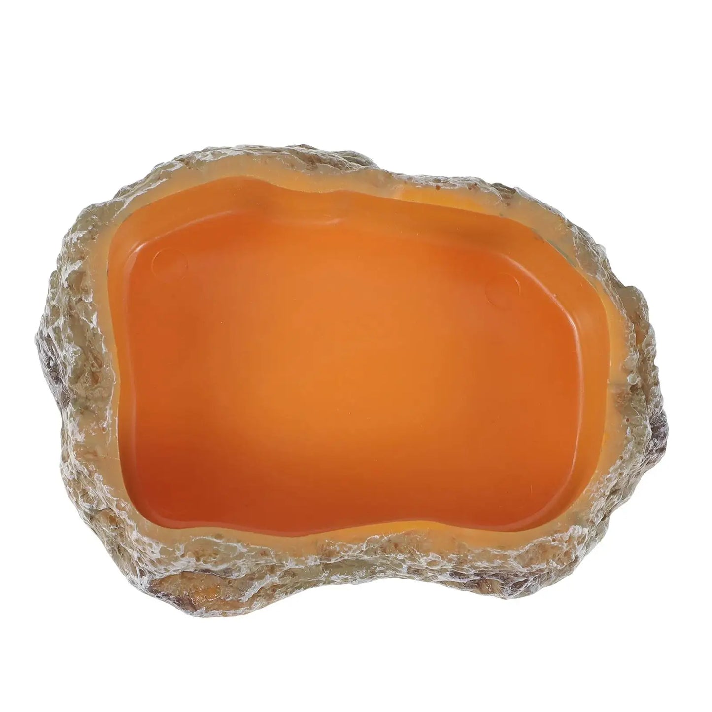 Decorative Reptile Water Bowl