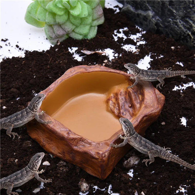 Pet Feeder Bowl and Drinker