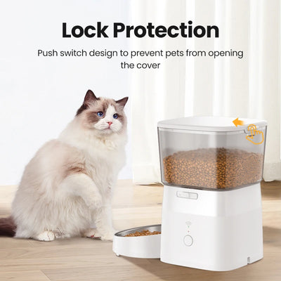 DigiBowl Cat Feeder