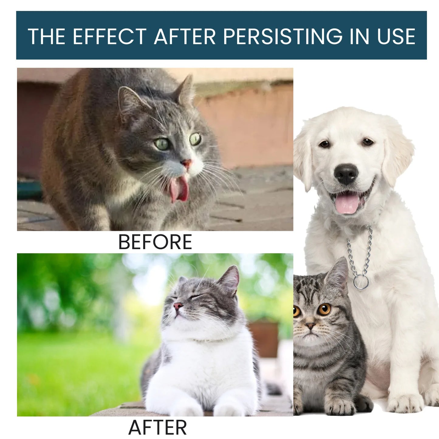 Cat Nutrient Drops
