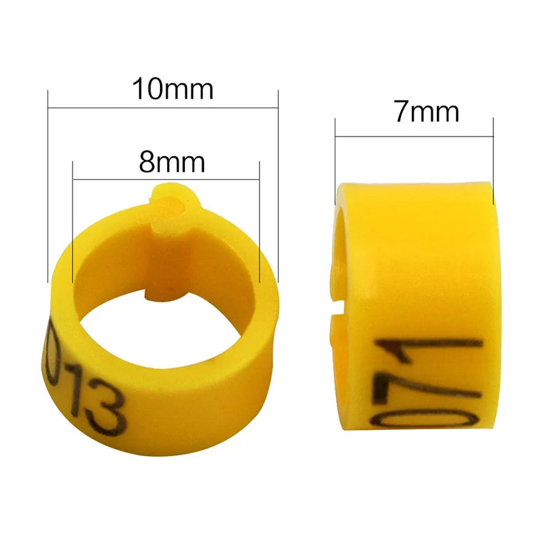 Colorful Foot Rings with Text