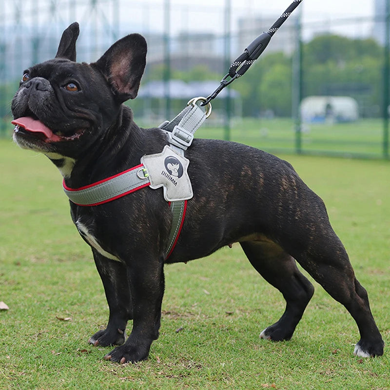 Reflective Nylon Dog Harness