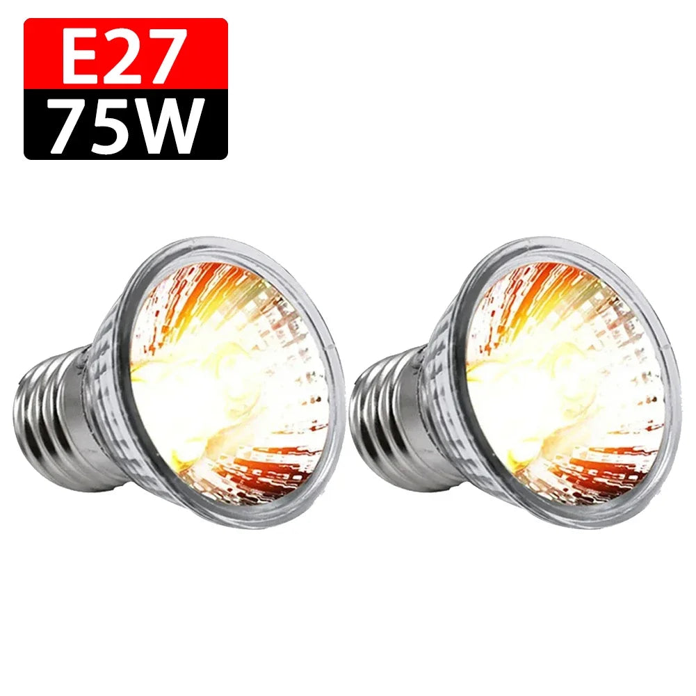 Solar Shine Bright Light