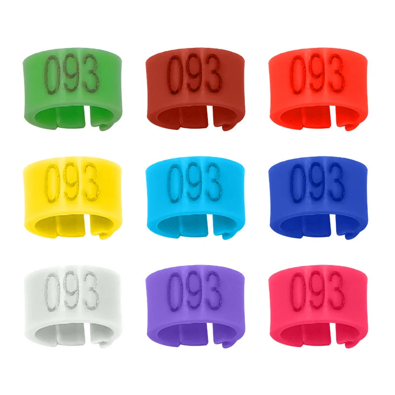 Colorful Foot Rings with Text