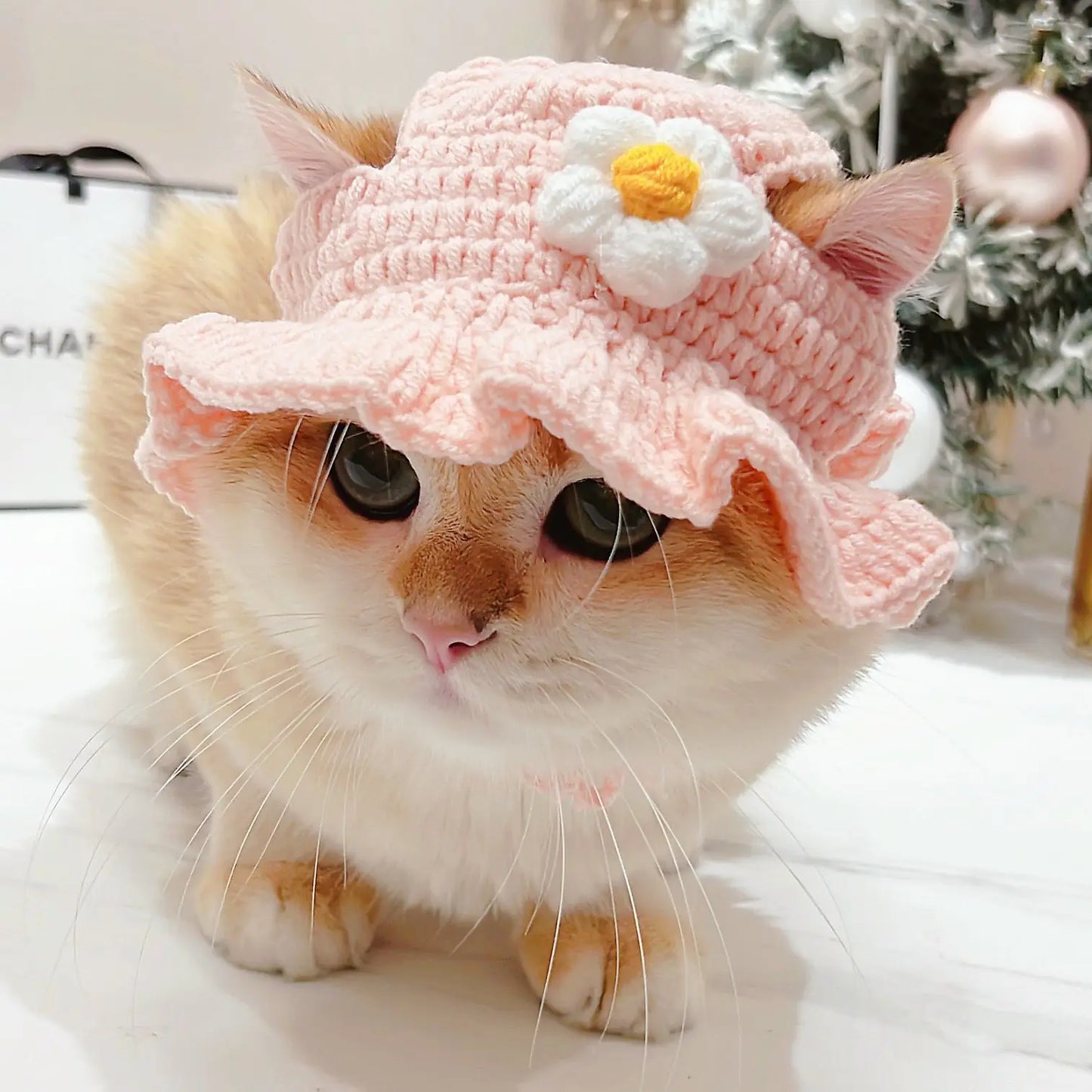 Cute Refined Cat Hat