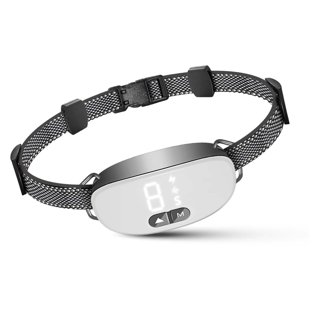 Adjustable Dog Collar