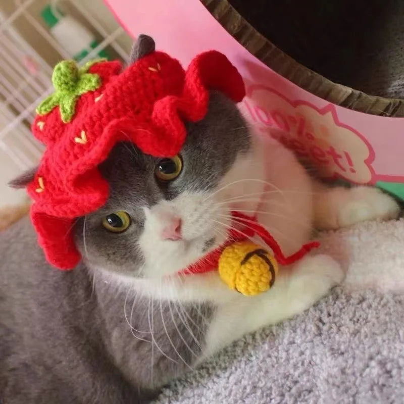 Cute Refined Cat Hat
