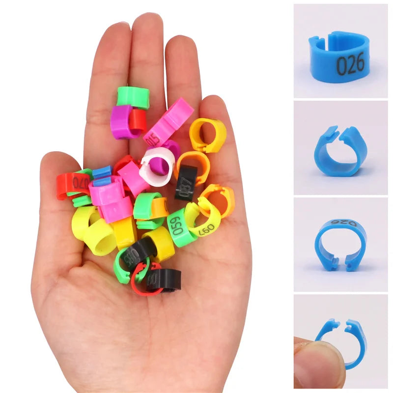 Colorful Foot Rings with Text