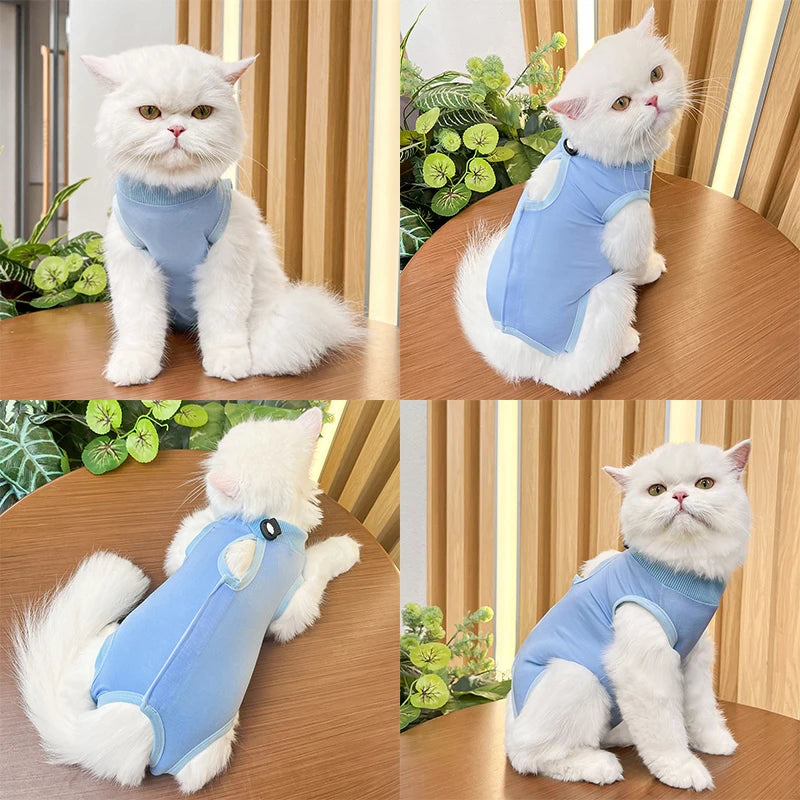 Cats Surgery Recovery Suit
