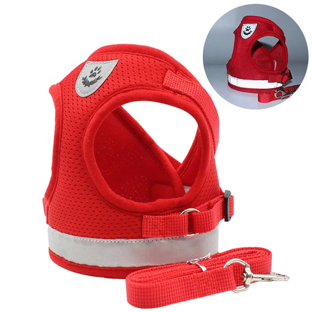 Cat Harness & Leash Set