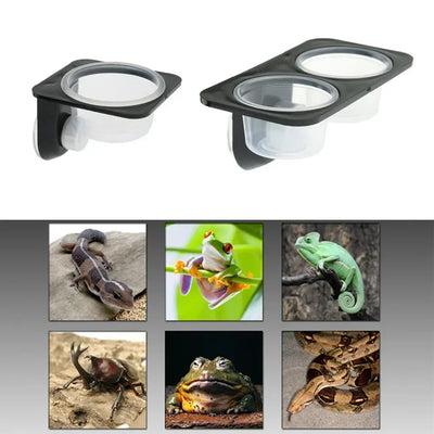 Suction Reptile Feed Bowls