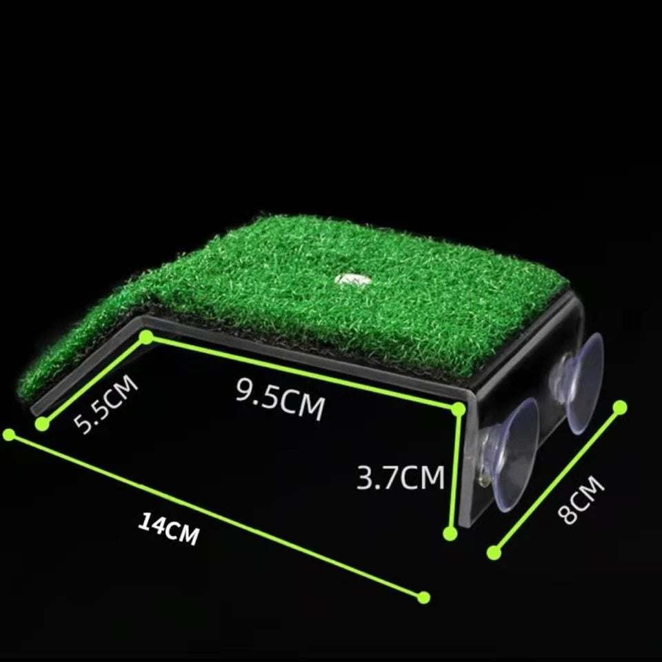 Turtle Platform Float Decor