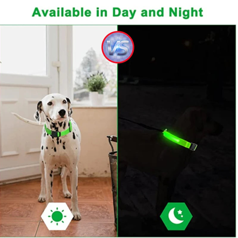 USB Rechargeable LED Collar
