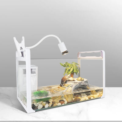 Shell Fusion Basking Lamp