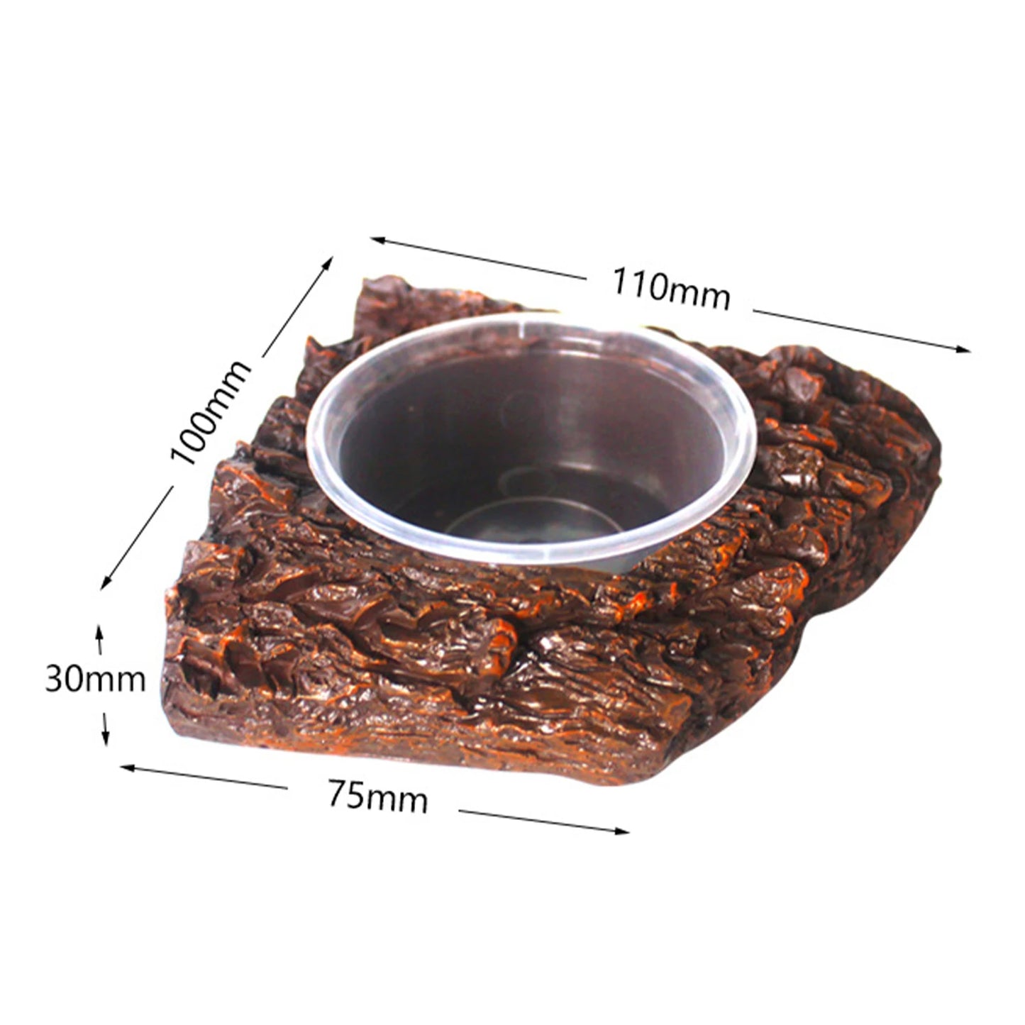 Frog & Lizard Feeder Dish