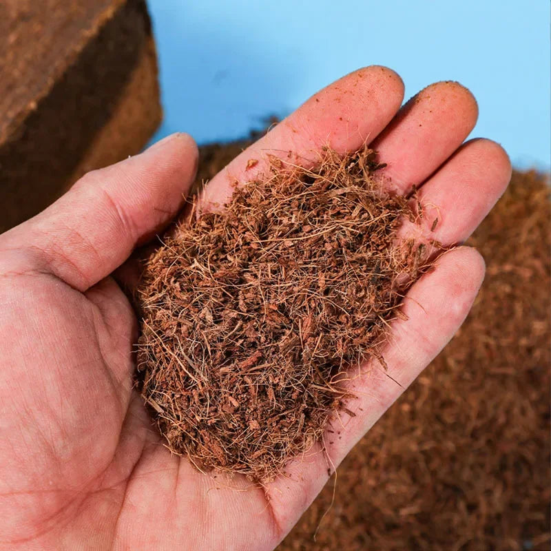 Coconut Fiber Reptile Bedding