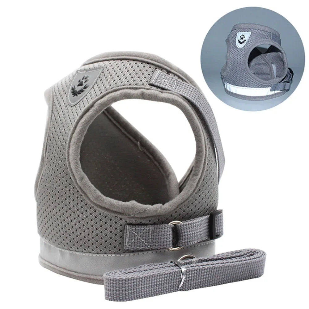 Cat Harness & Leash Set