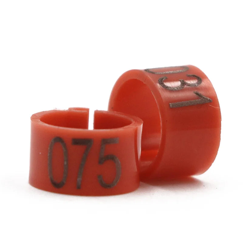 Colorful Foot Rings with Text