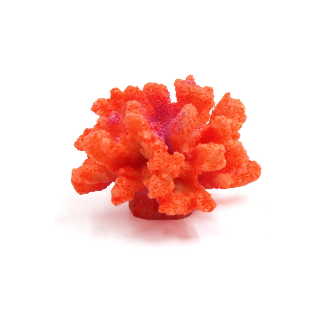 Decorative Coral Aquariums