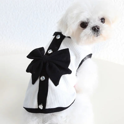 Regal Bow Lace Dog Dress