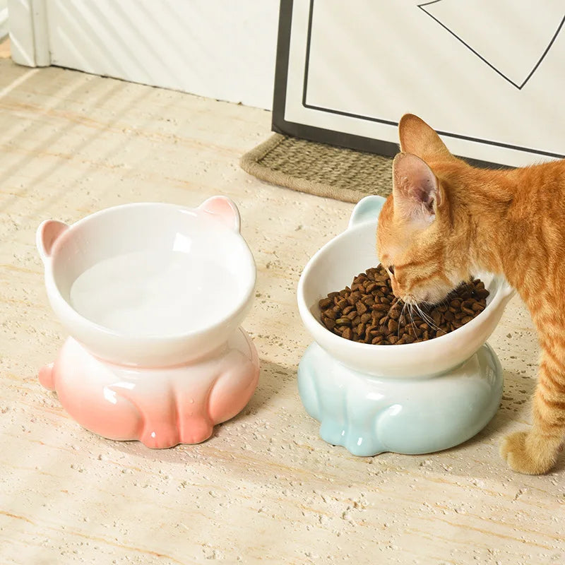 Neck Support Cat Bowl