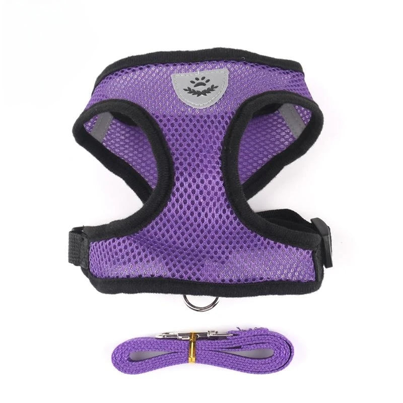 Adjustable Cat Harness & Leash
