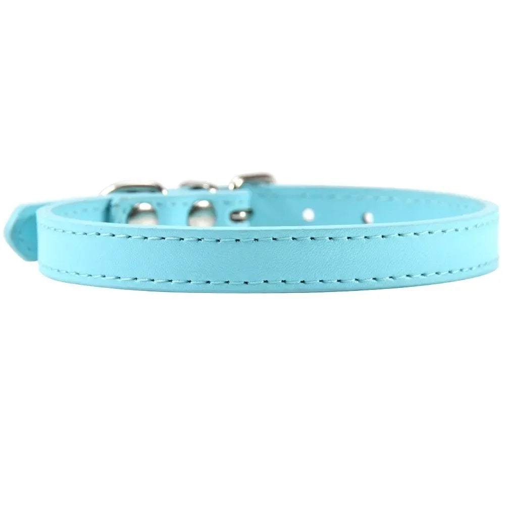 Color Splash Cat Collar