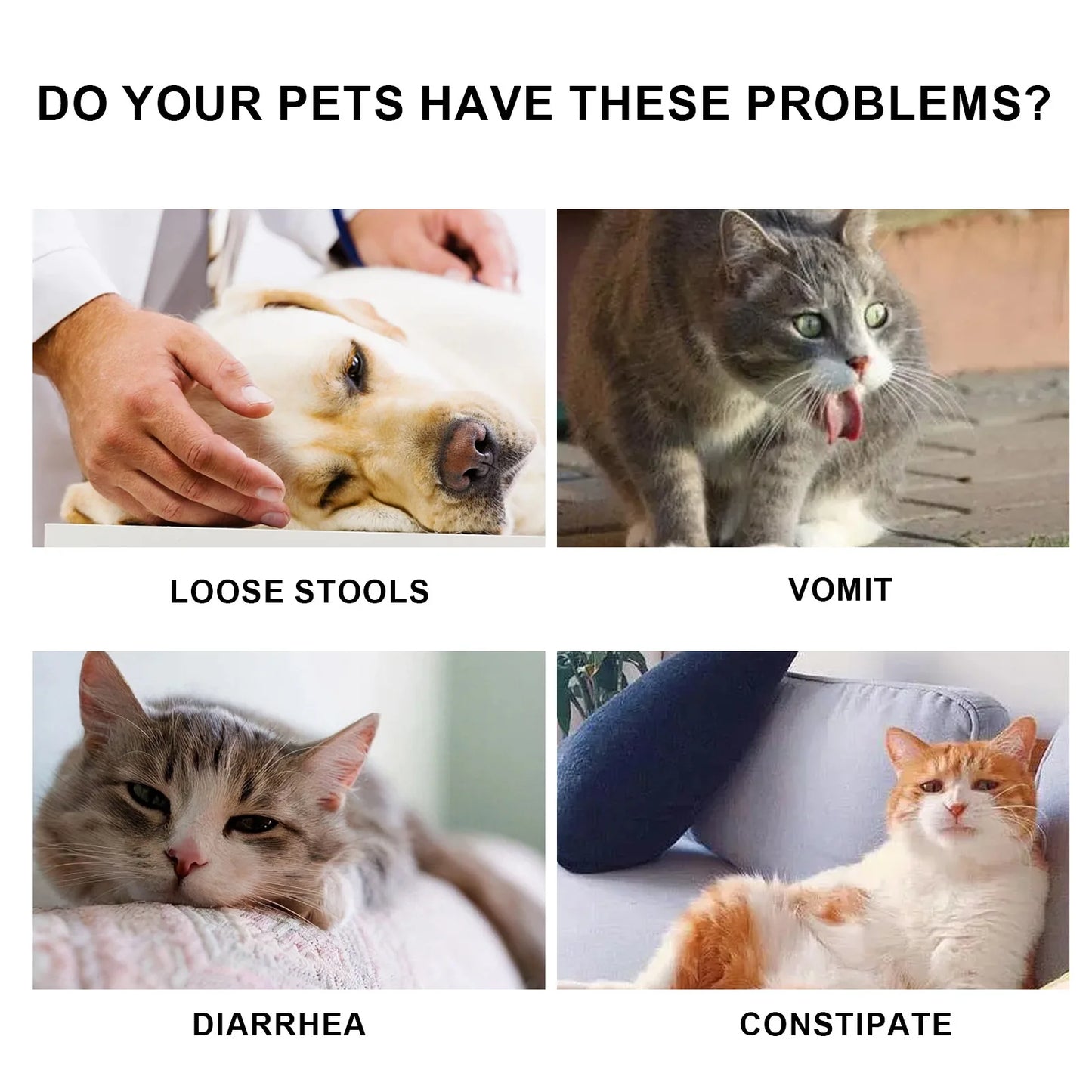 Cat Nutrient Drops