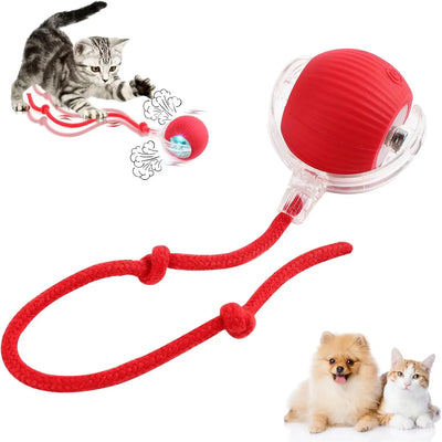 Pet Interactive Smart Rolling Ball