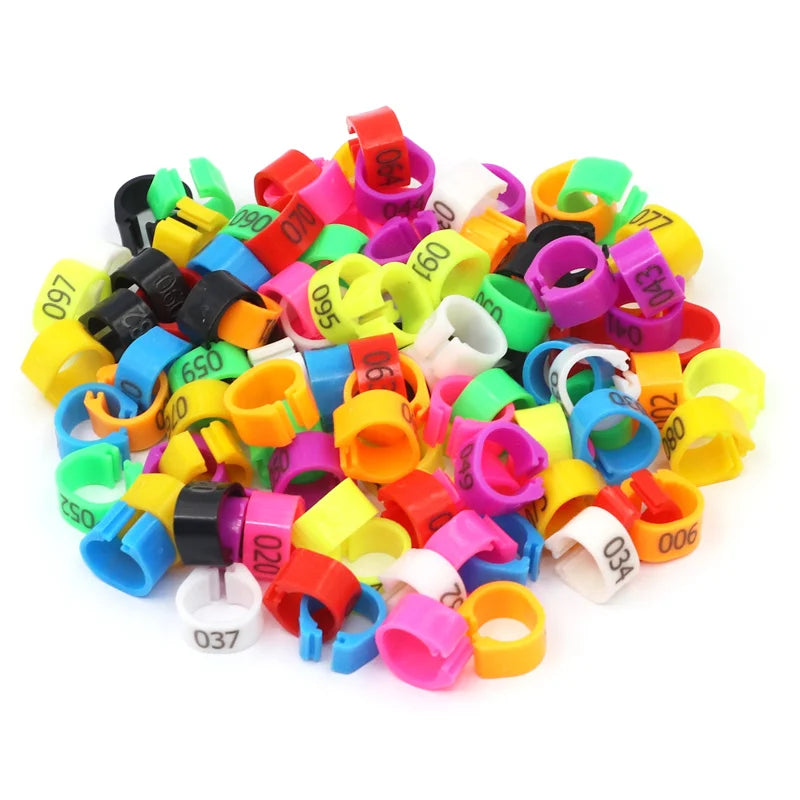 Colorful Foot Rings with Text