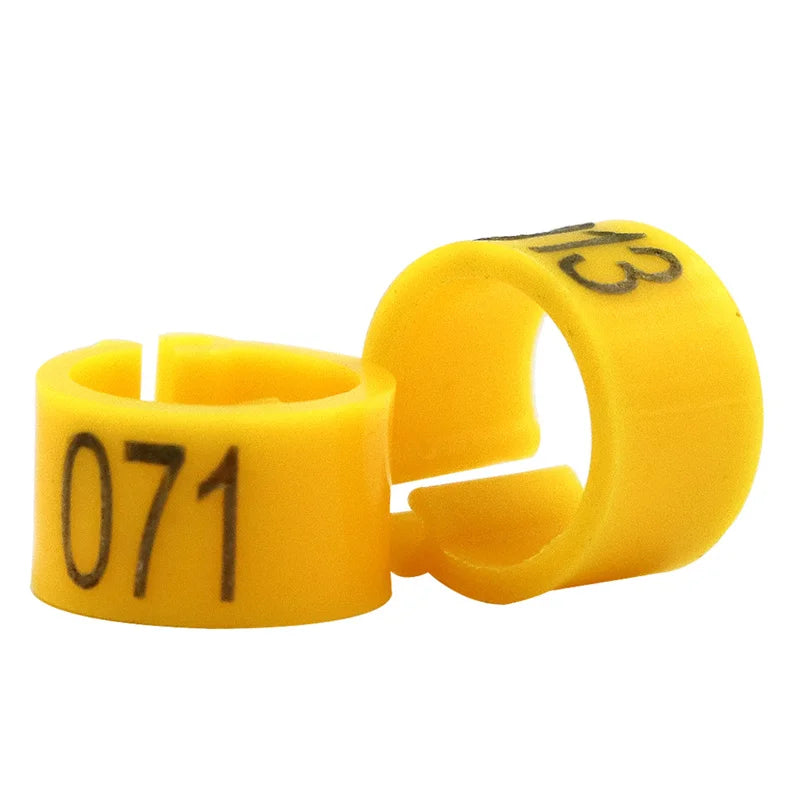 Colorful Foot Rings with Text