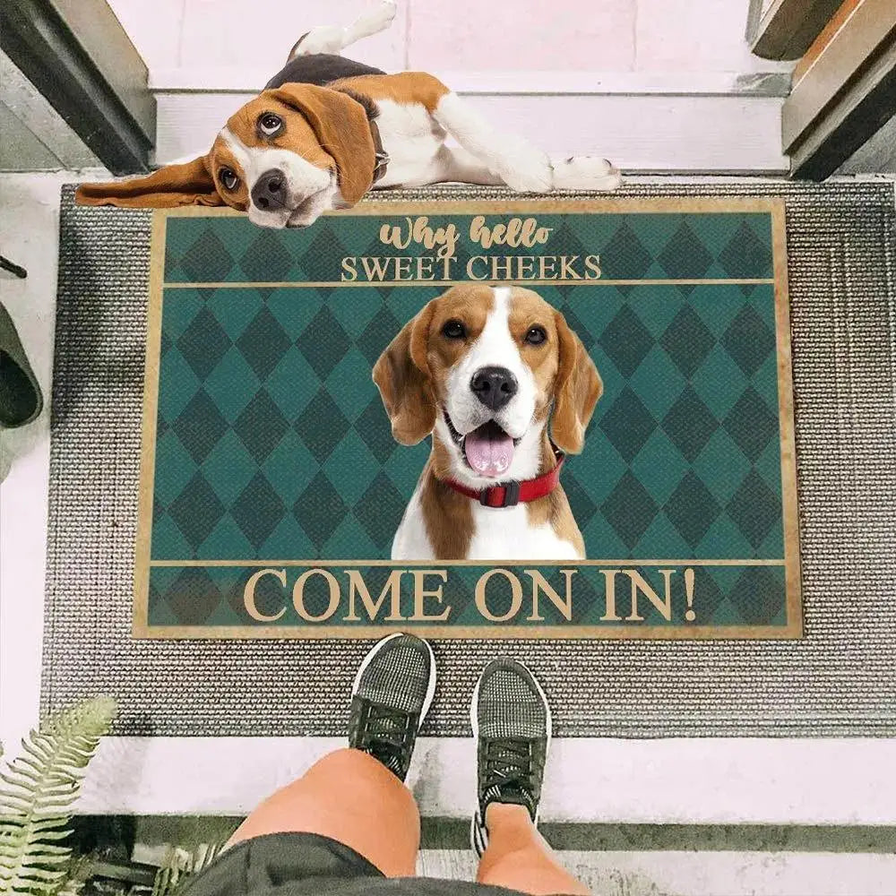 Non-Slip pet Doormat