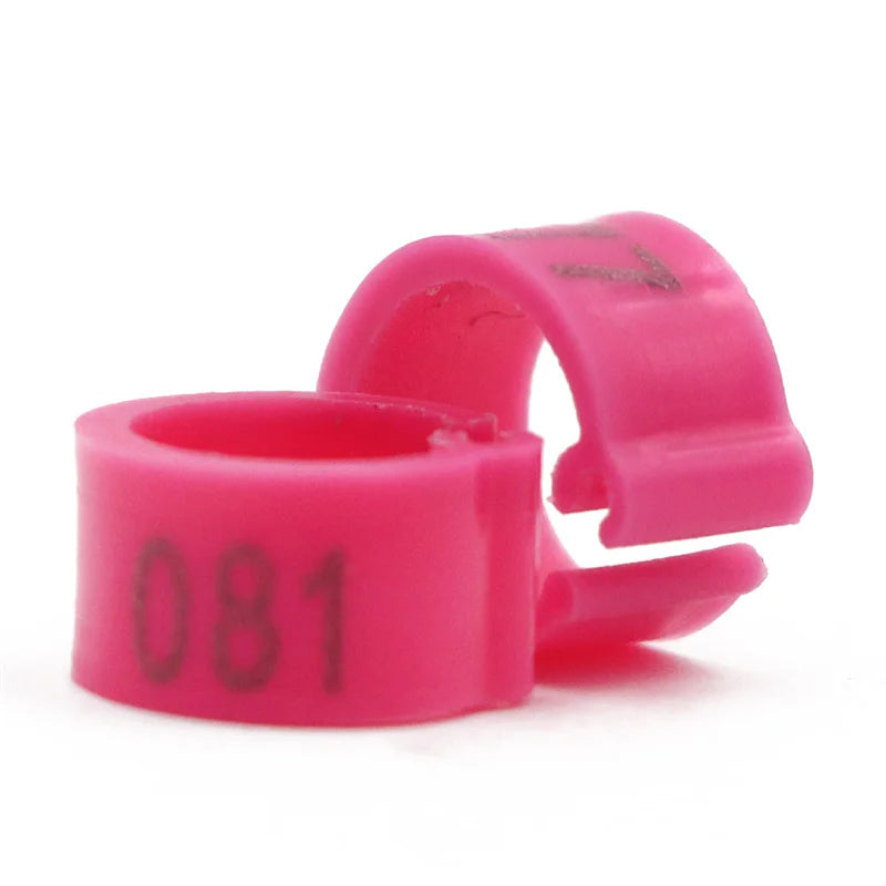 Colorful Foot Rings with Text