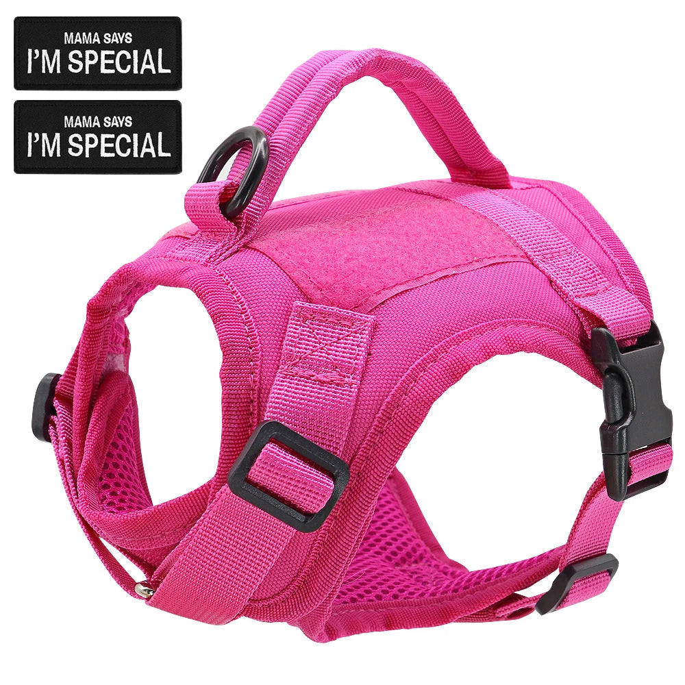 Tactical Cat Harness
