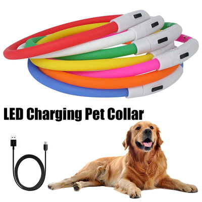 Luminous LED Dog Collar