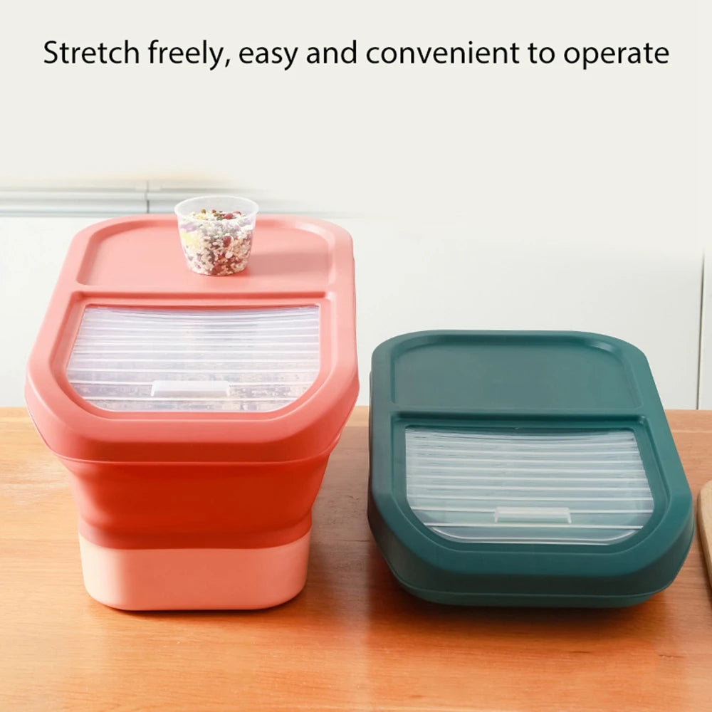 Food Storage Container Cat