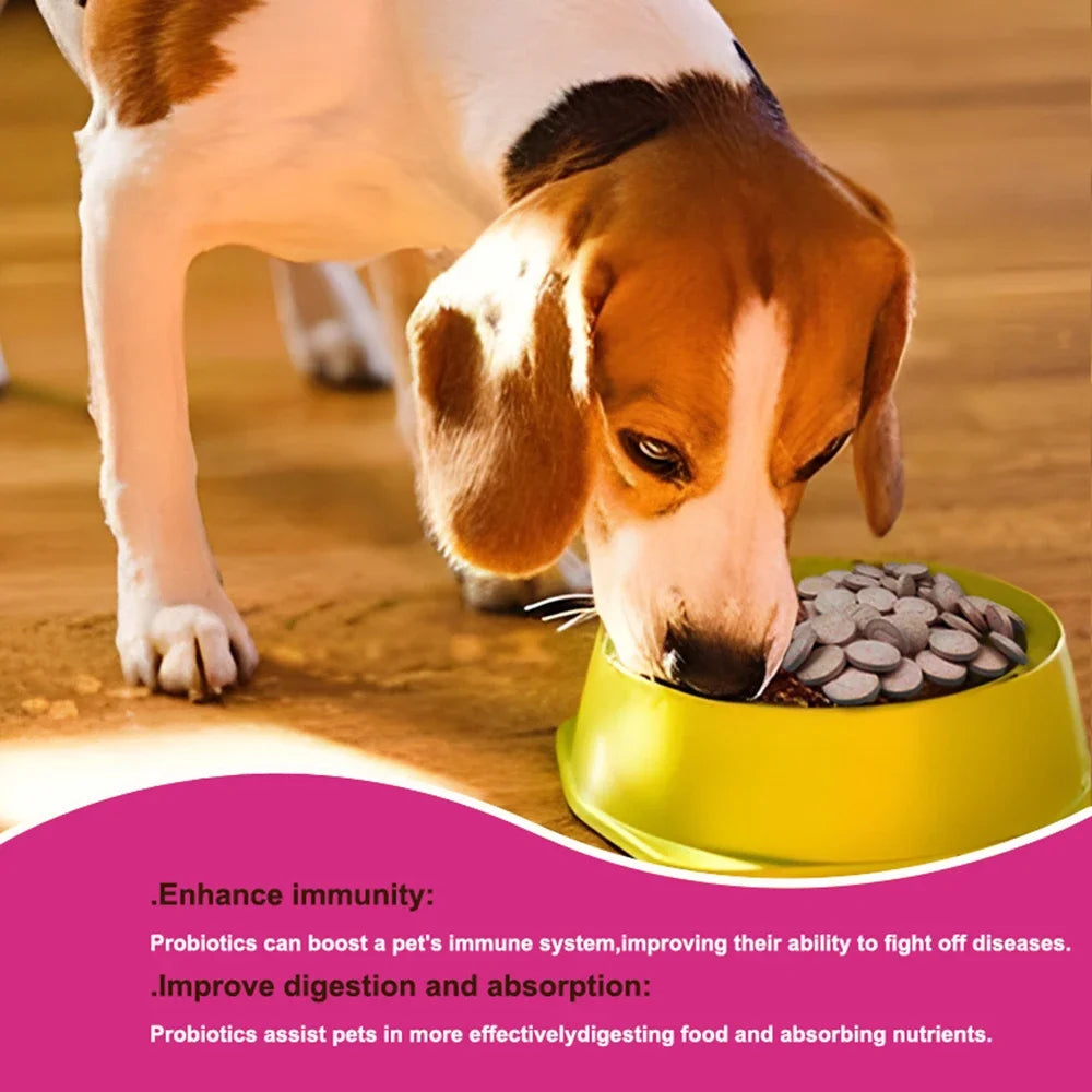 Digestive Health Supplements