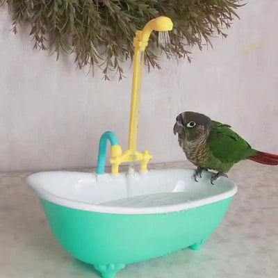 Smart Parrot Bathing Station