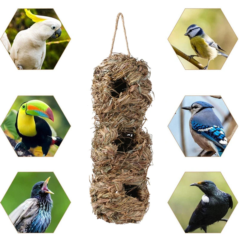 New Birds Nest Bird Cage