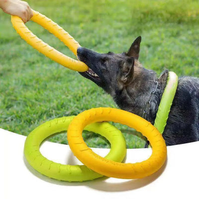 Strong Dog Ring Toy