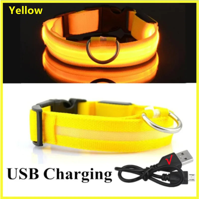 USB Rechargeable LED Collar