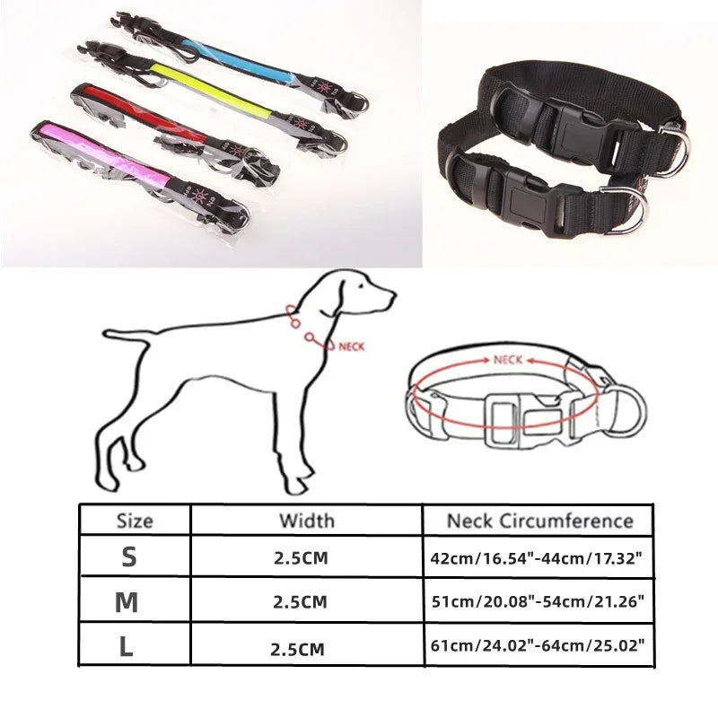Glowing Dog Collar LED