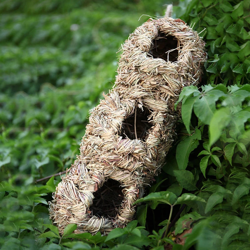 New Birds Nest Bird Cage