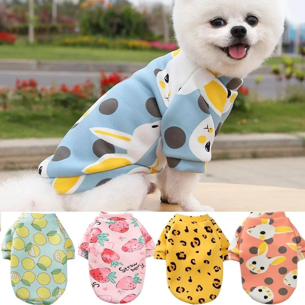 Cozy Dog Hoodie for Winter