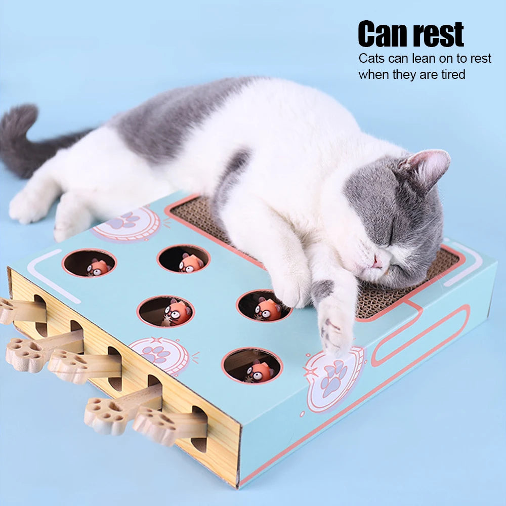 Interactive Cat Game Box