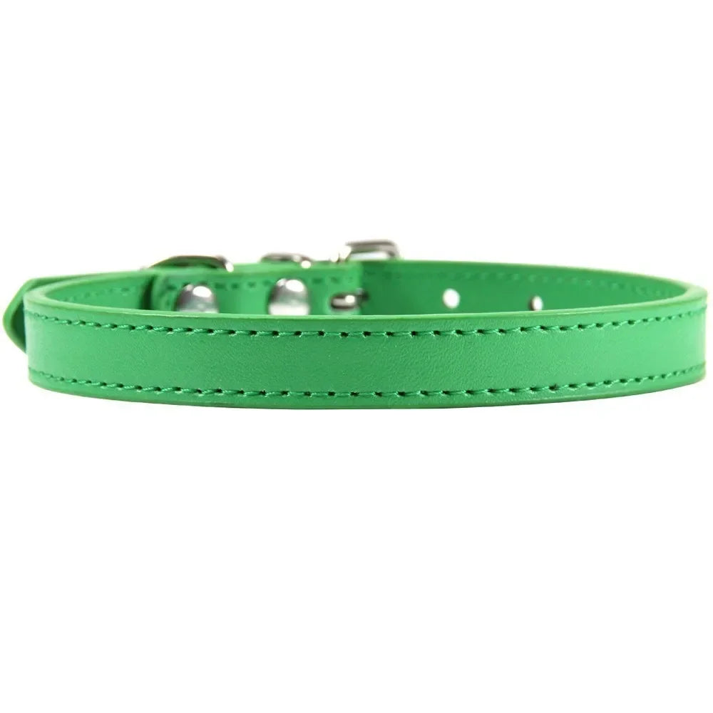 Color Splash Cat Collar