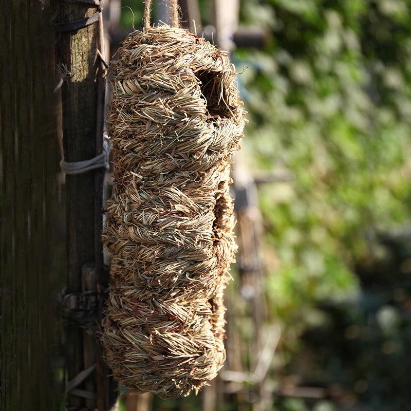 New Birds Nest Bird Cage