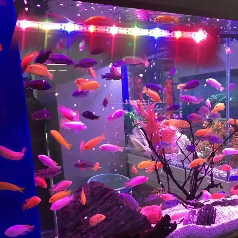 Multi Color Aquarium LED
